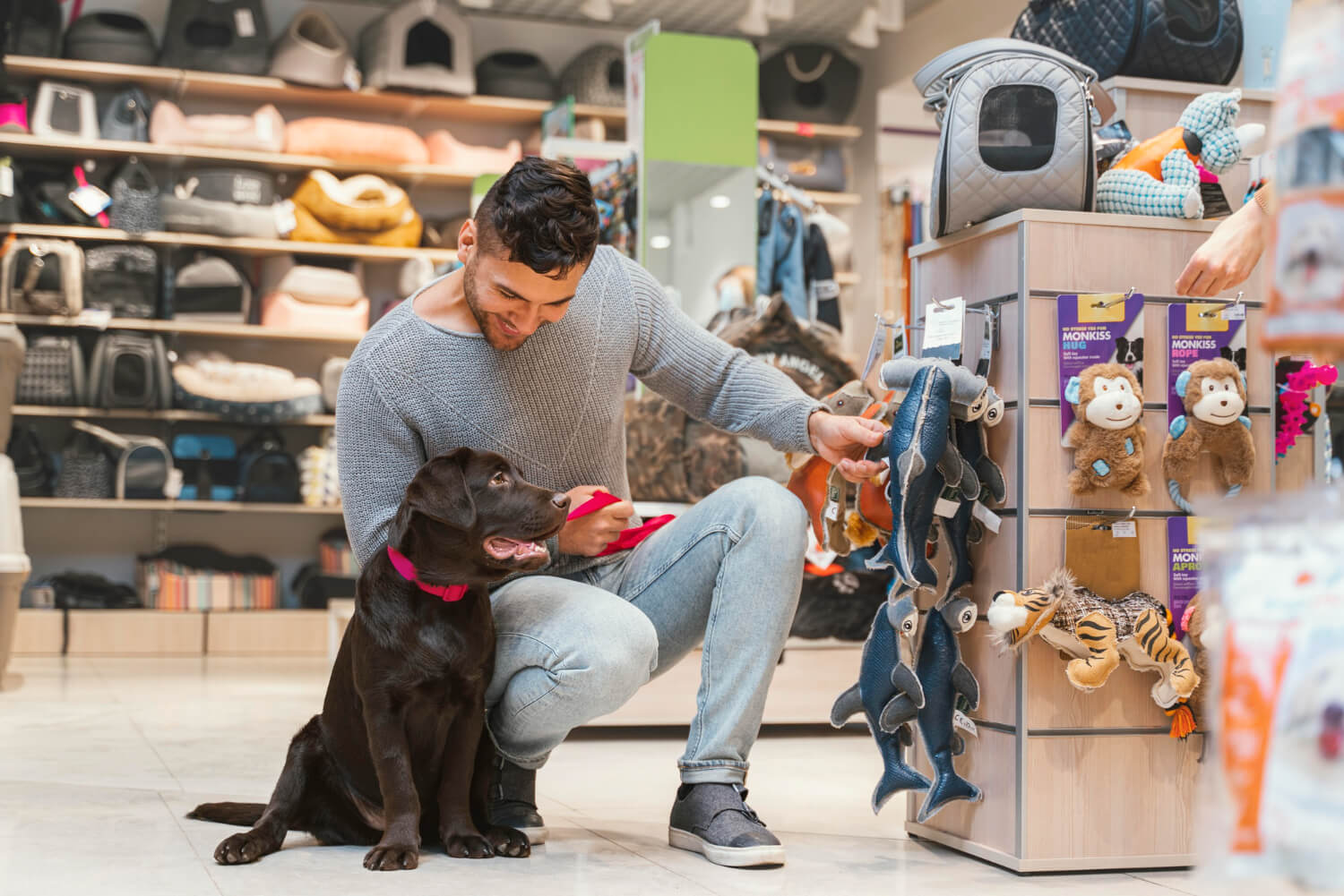 180 melhor ideia de Loja de pet shop em 2023  loja de pet shop, pet shop,  loja de animais